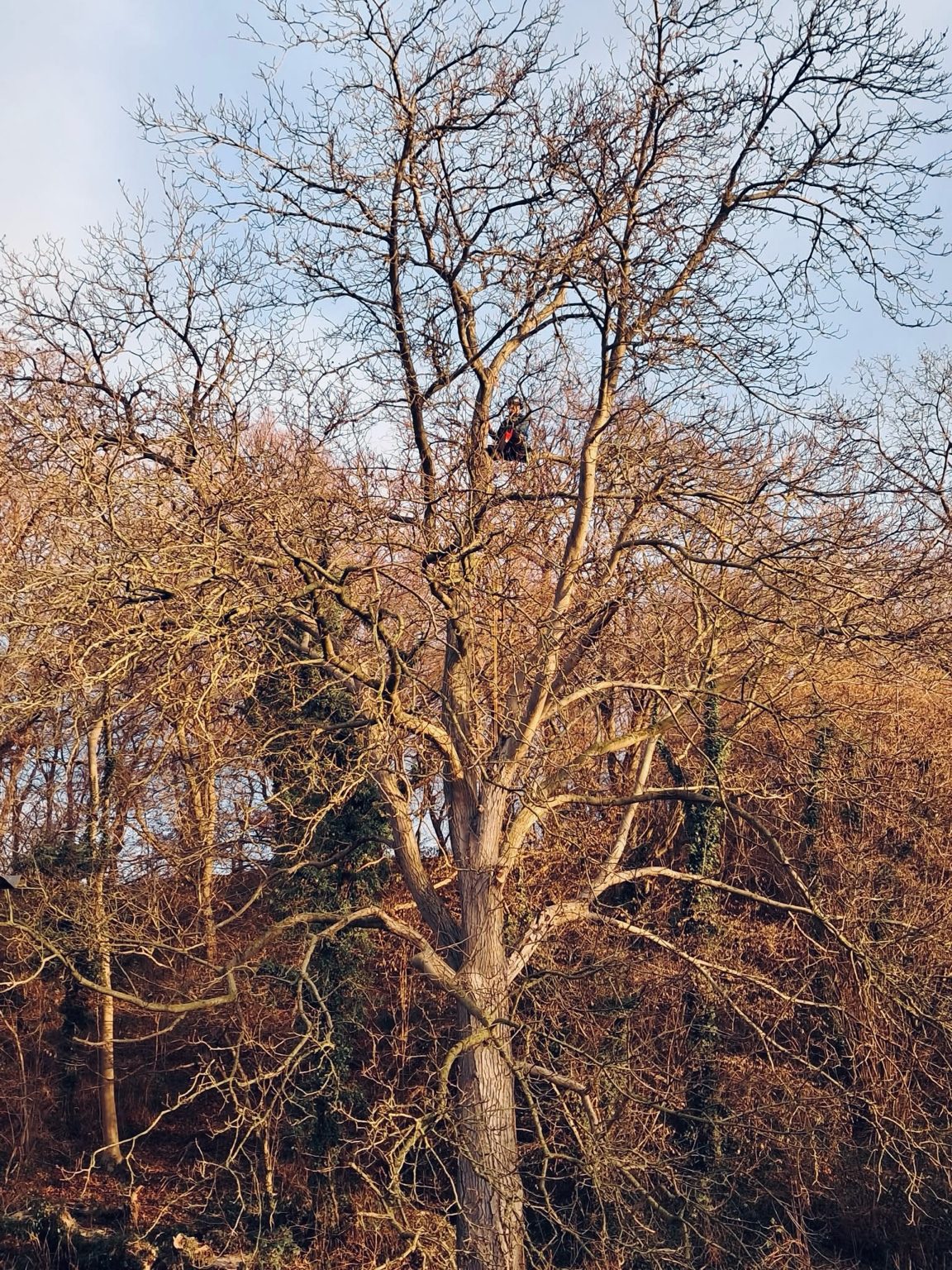 Haute Cime Vhd — intervention en hauteur