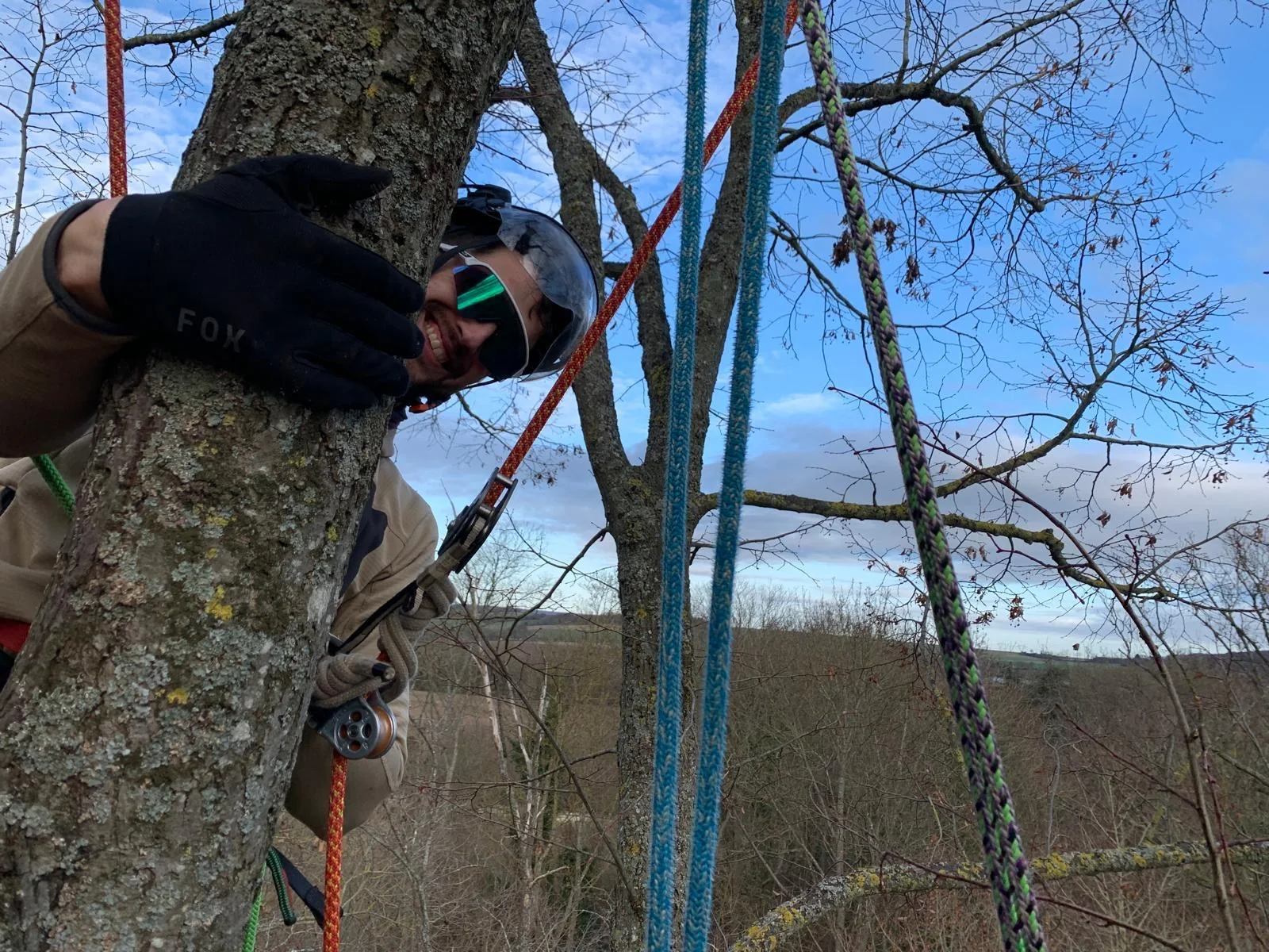 Mise en place des cordages dans l’arbre
