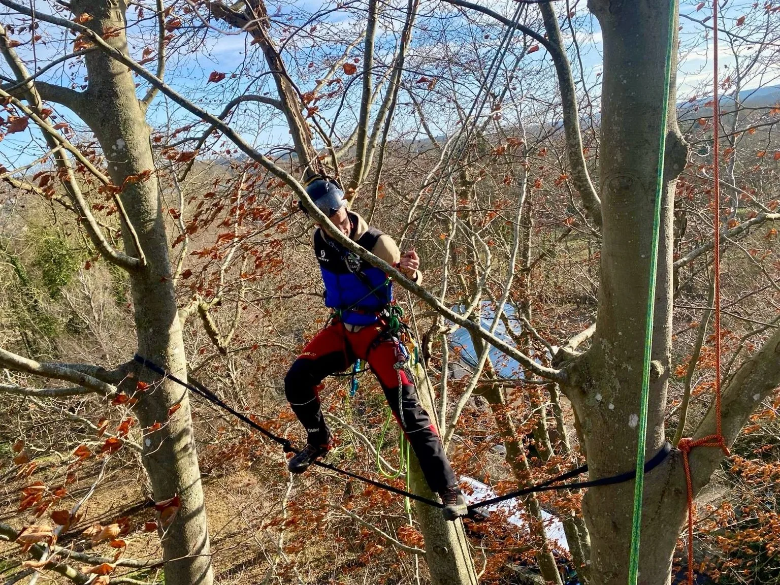Intervention arborée Haute Cime — réalisation 2