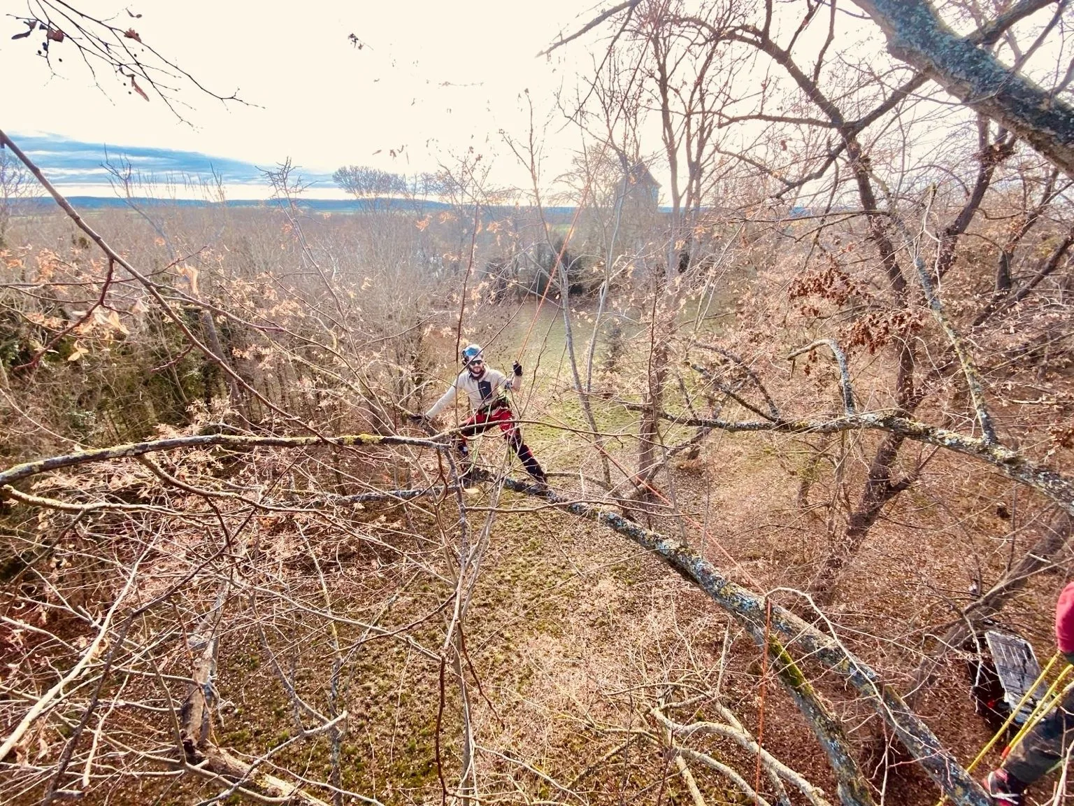 Intervention arborée Haute Cime — réalisation 5